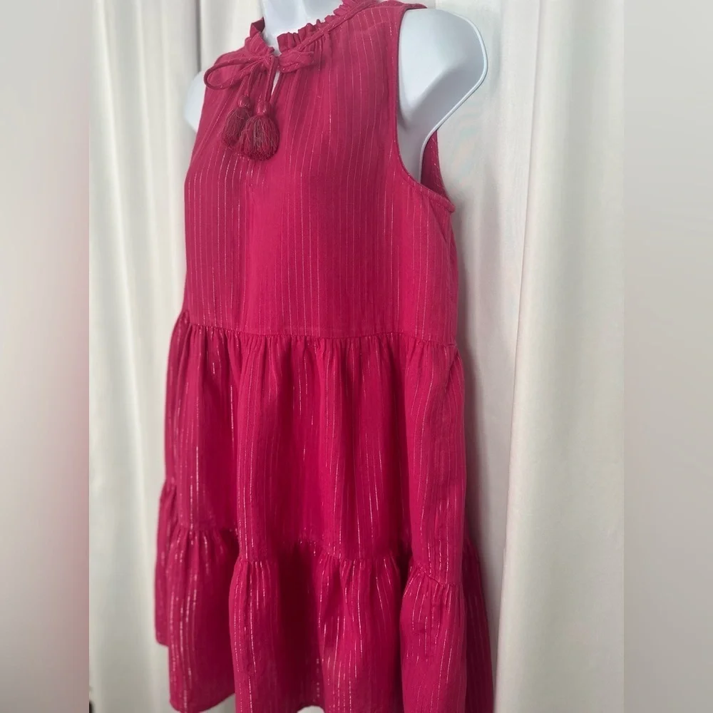 J.Crew Pink Tiered Sleeveless Dress w/ Tassel Ties | Size S (1132)